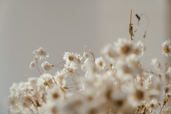 The basic skills of a modern florist